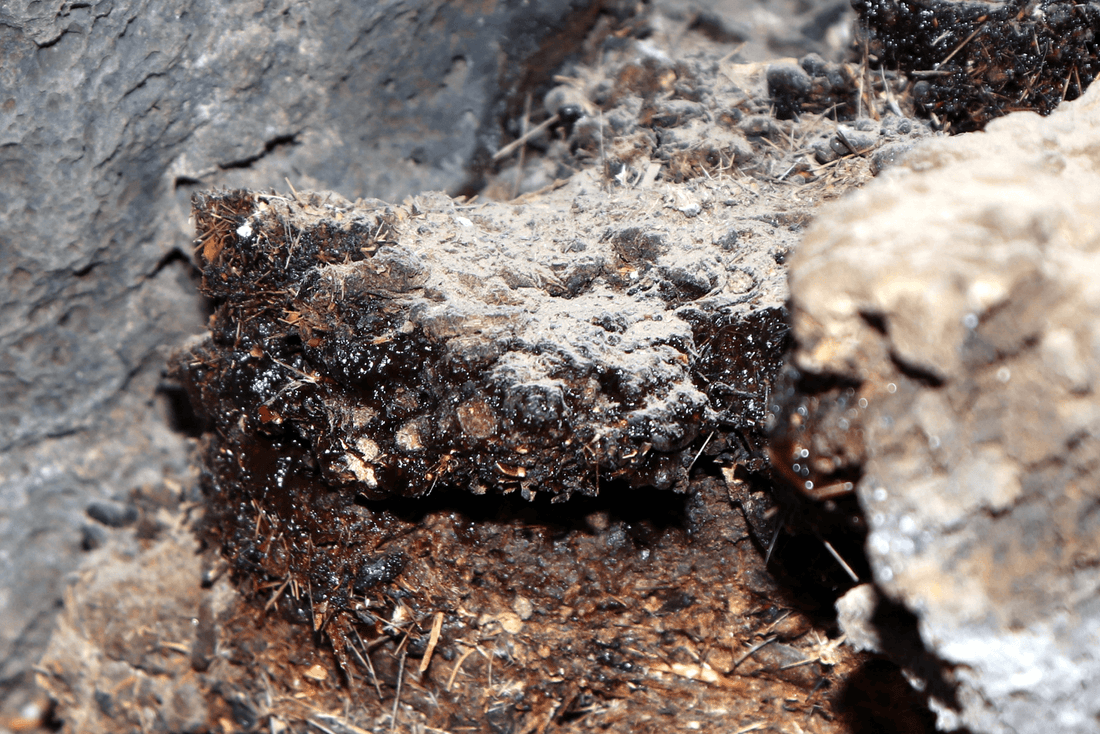 What is Shilajit? History, Chemical Properties & Processing - Wellness Nest