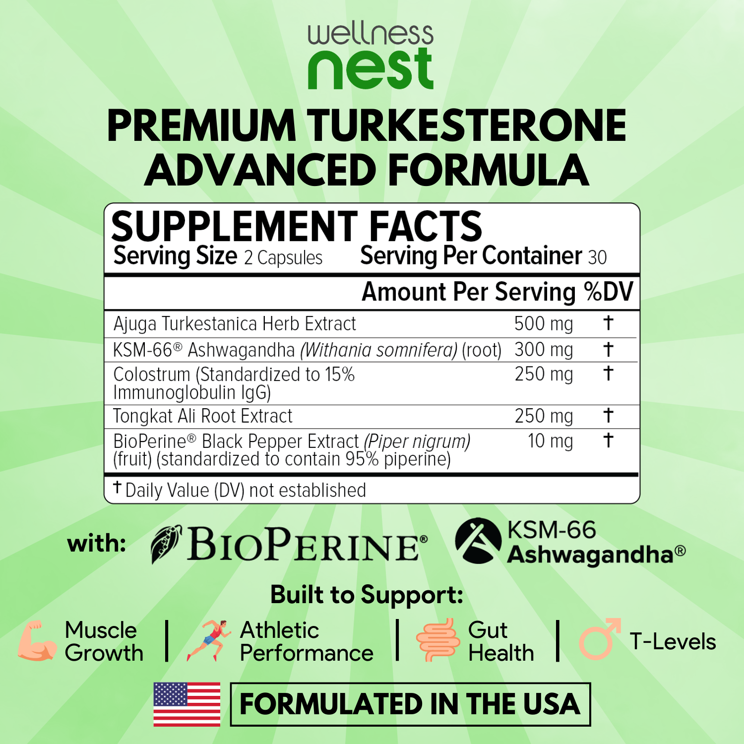 Turkesterone Advanced Formula Dad Bod - Wellness Nest