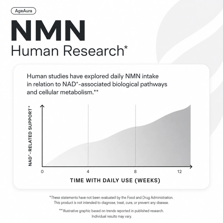 Built around two compounds — NMN + TMG per capsule