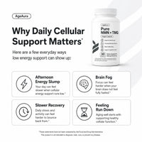 AgeAura Pure NMN + TMG capsules