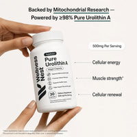 AgeAura Pure Urolithin A-01