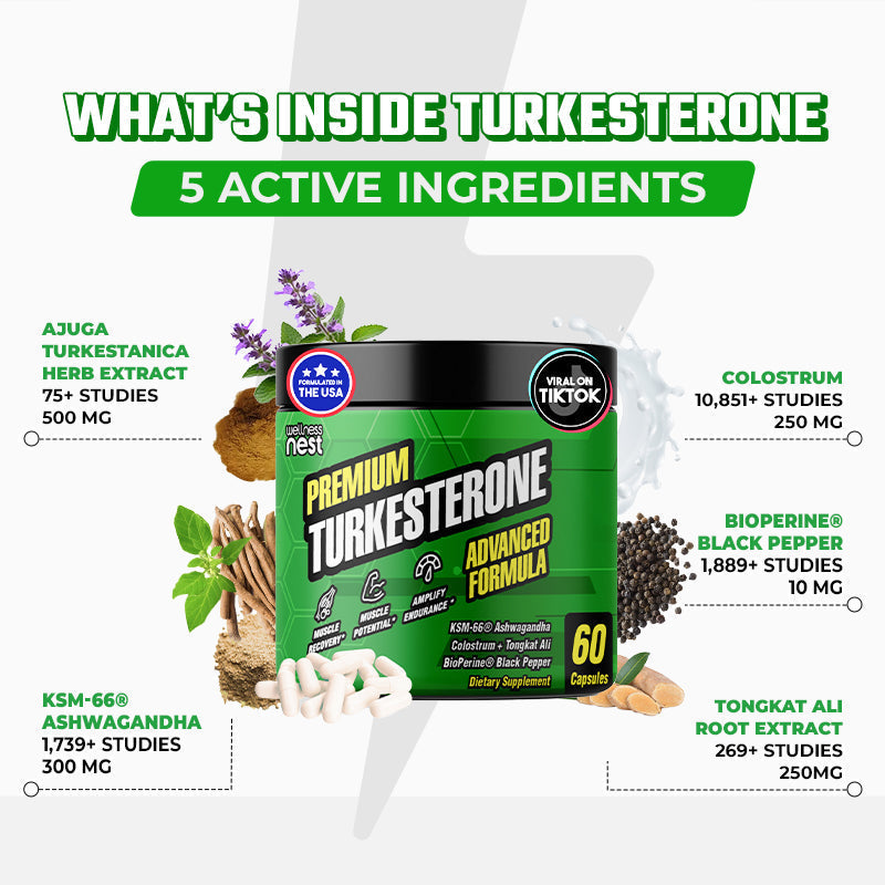 Turkesterone Advanced Formula Dad Bod - Wellness Nest