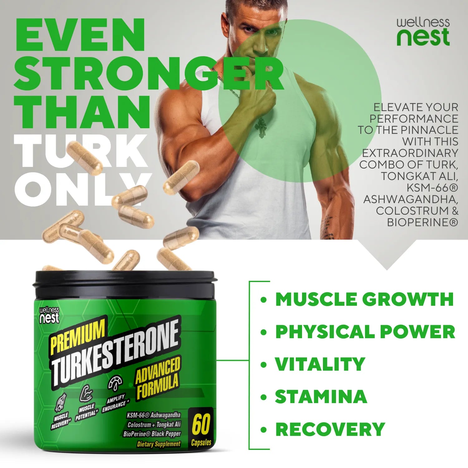 Turkesterone Advanced Formula Dad Bod - Wellness Nest