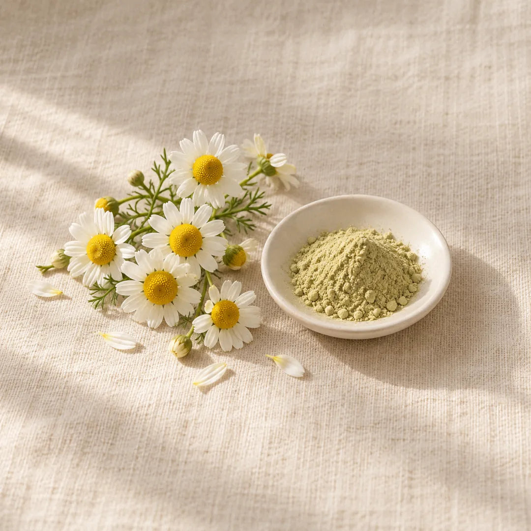Apigenin: pale powder in a small dish beside chamomile flowers (illustration)